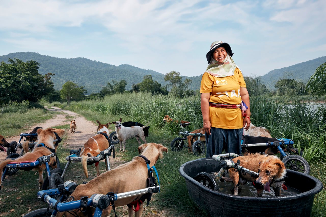 A caregiver smiling among paralyzed rescue dogs running in their wheelchairs beside a river